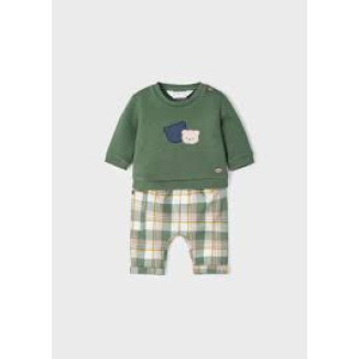Conjunto 2p Forest