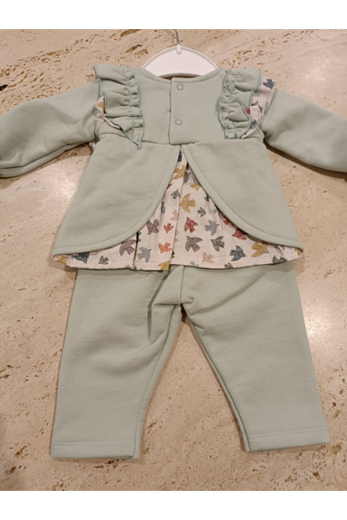 Conjunto Bird