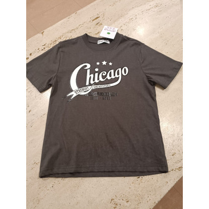 Camiseta M/C Chicago