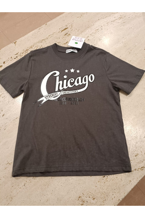 Camiseta M/C Chicago