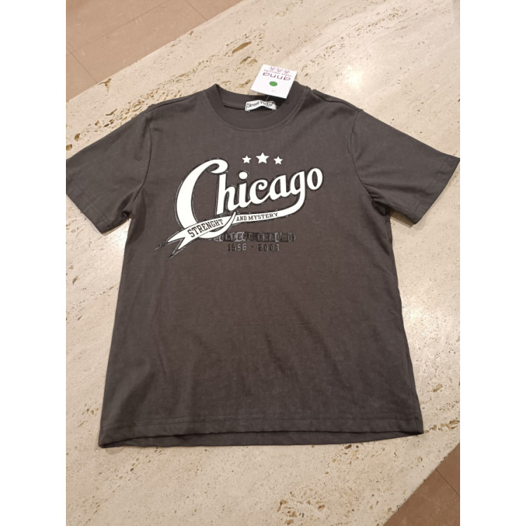 Camiseta M/C Chicago