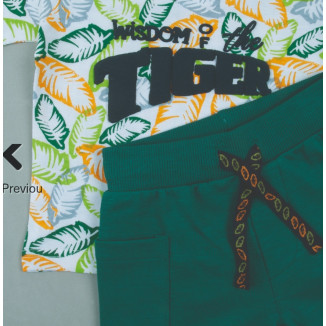 Conjunto 2p Tiger Verde