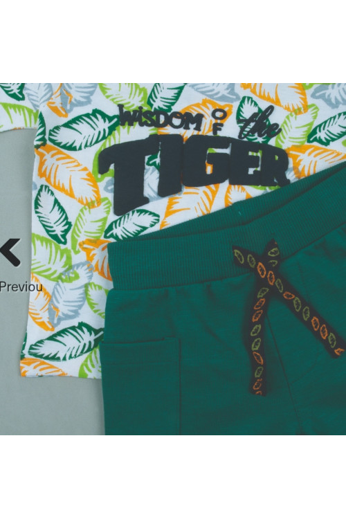 Conjunto 2p Tiger Verde