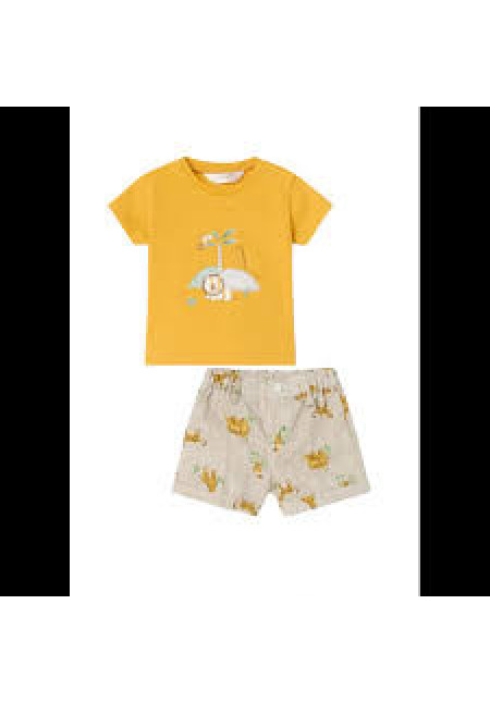 Conjunto 2p Banana