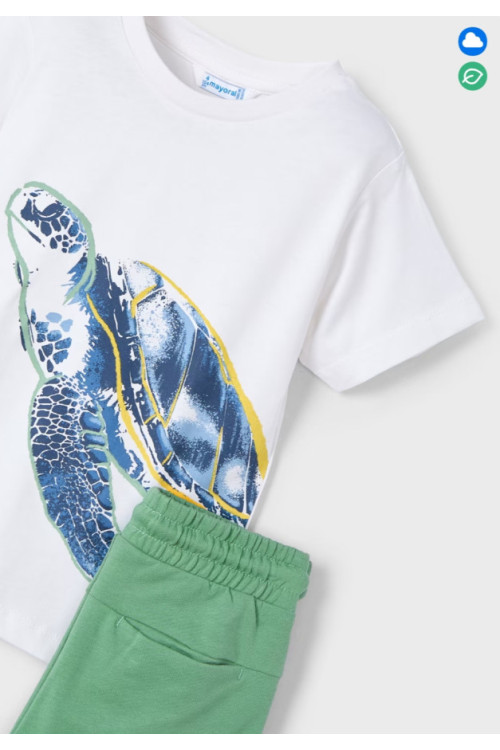 Conjunto 2p Tortuga