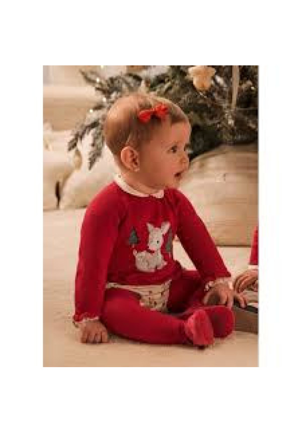 Conjunto 3p Rojo Animals