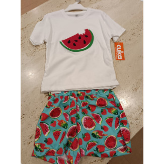 Conjunto 2p Sandia