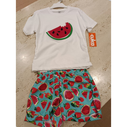 Conjunto 2p Sandia