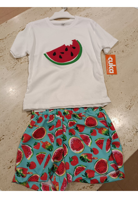 Conjunto 2p Sandia