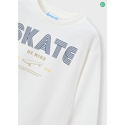 Camiseta M/L Skate