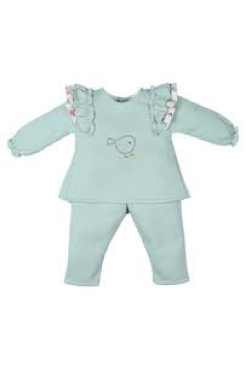Conjunto Bird