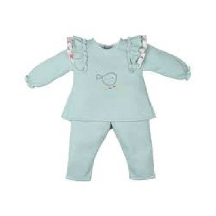 Conjunto Bird