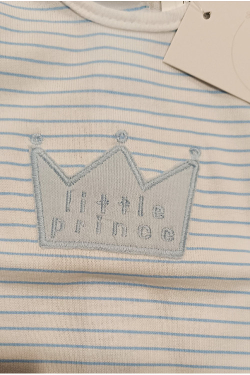 Conjunto primera puesta