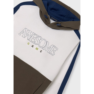 Sudadera awesome