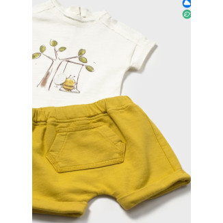 Conjunto 2p Oliva