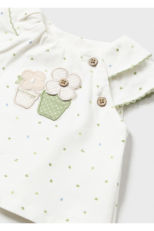 Conjunto 2p Macetas