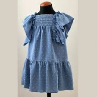 Vestido Plumeti Azul