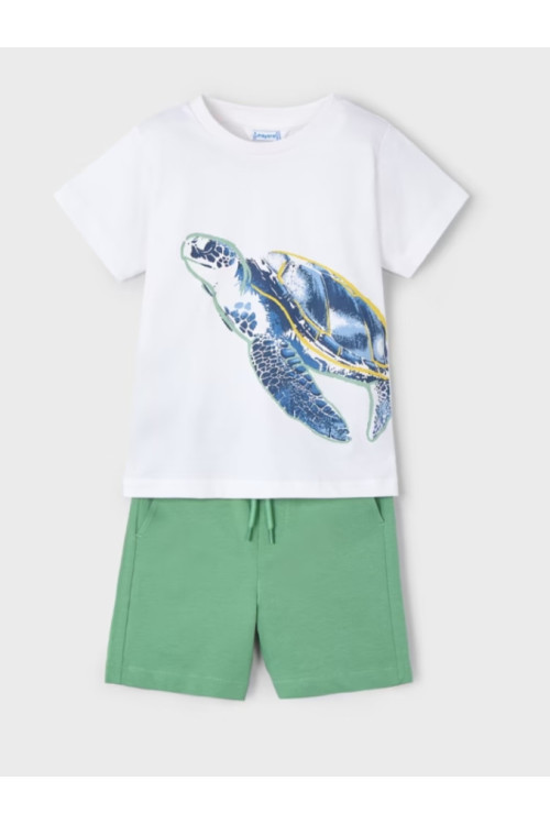 Conjunto 2p Tortuga