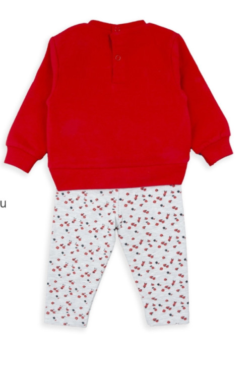 Conjunto Leggins 2p Rojo