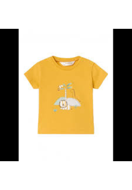 Conjunto 2p Banana