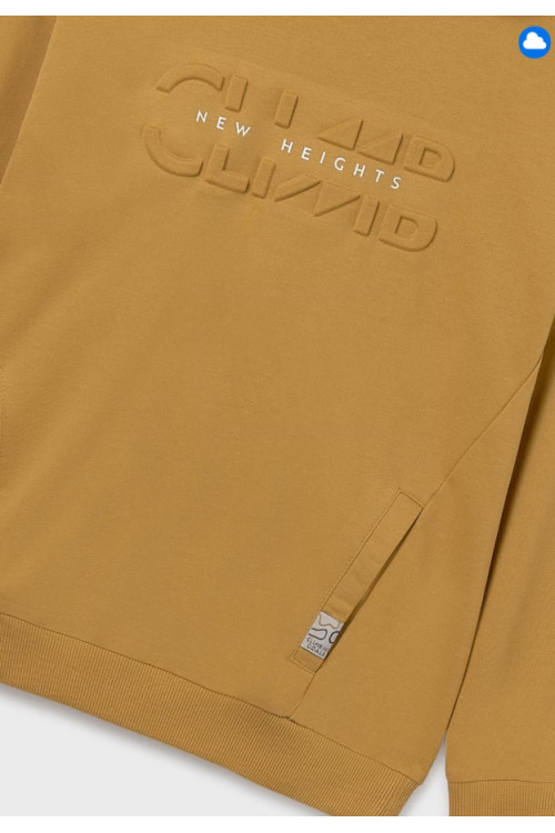 Sudadera Honey