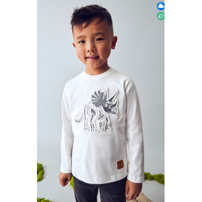 Camiseta M/L Dinosaurio