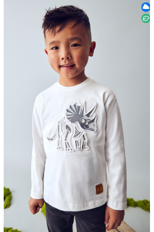 Camiseta M/L Dinosaurio