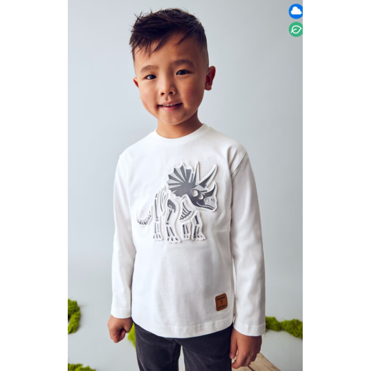 Camiseta M/L Dinosaurio