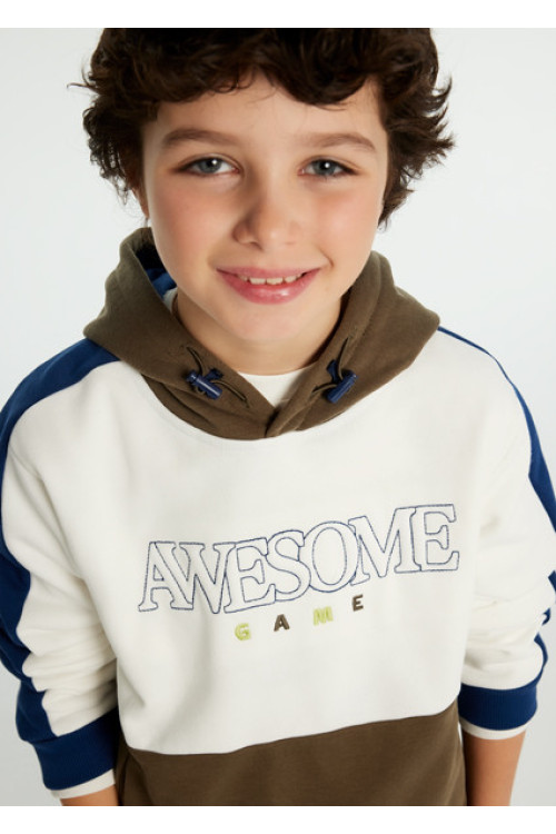 Sudadera awesome