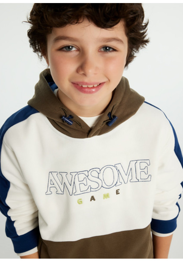 Sudadera awesome