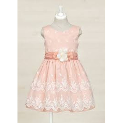 Vestido Gasa Bordado Rosa