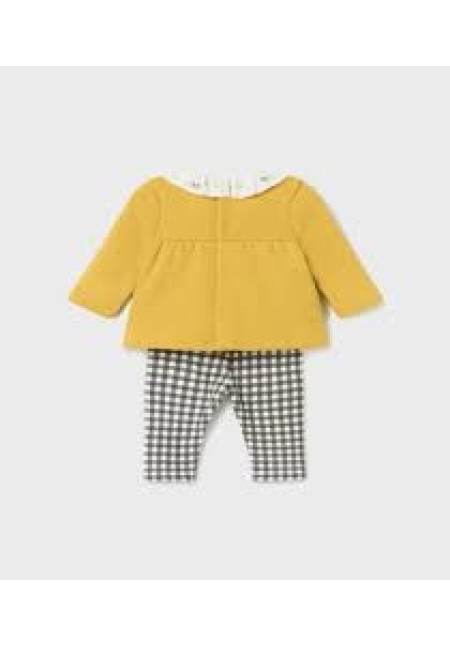 Conjunto 2p Curcuma