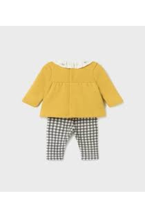 Conjunto 2p Curcuma