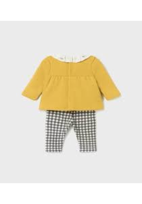 Conjunto 2p Curcuma