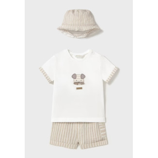 Conjunto 3p Raiz