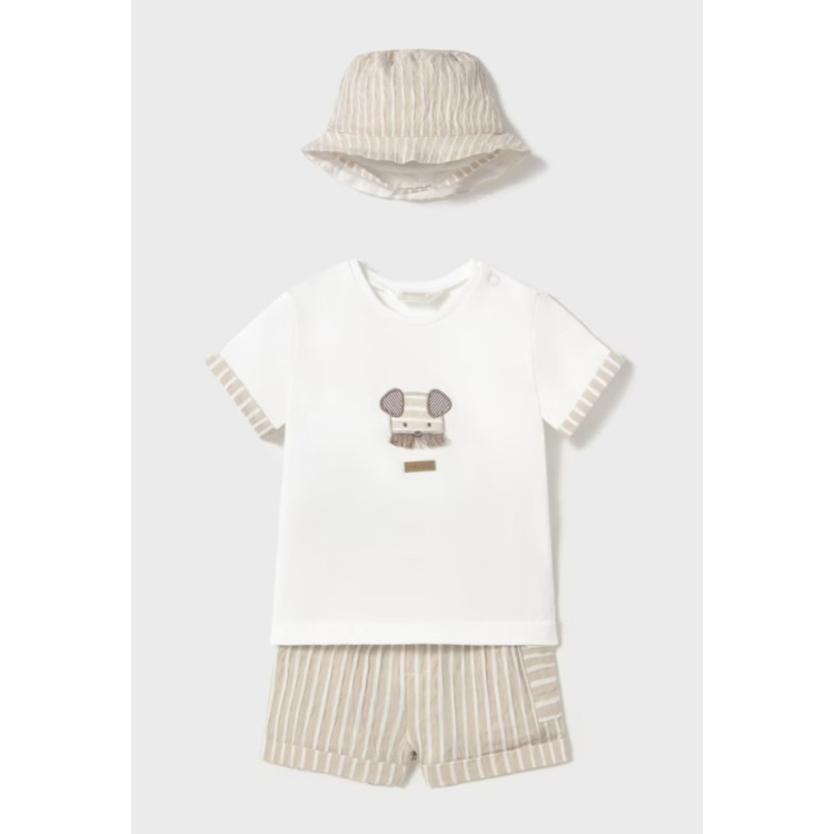 Conjunto 3p Raiz