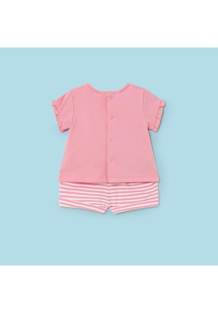 Conjunto 2p Nectar
