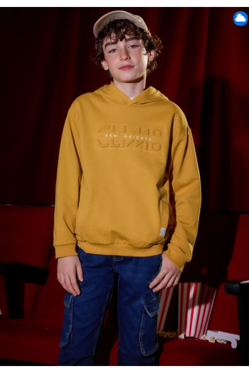 Sudadera Honey