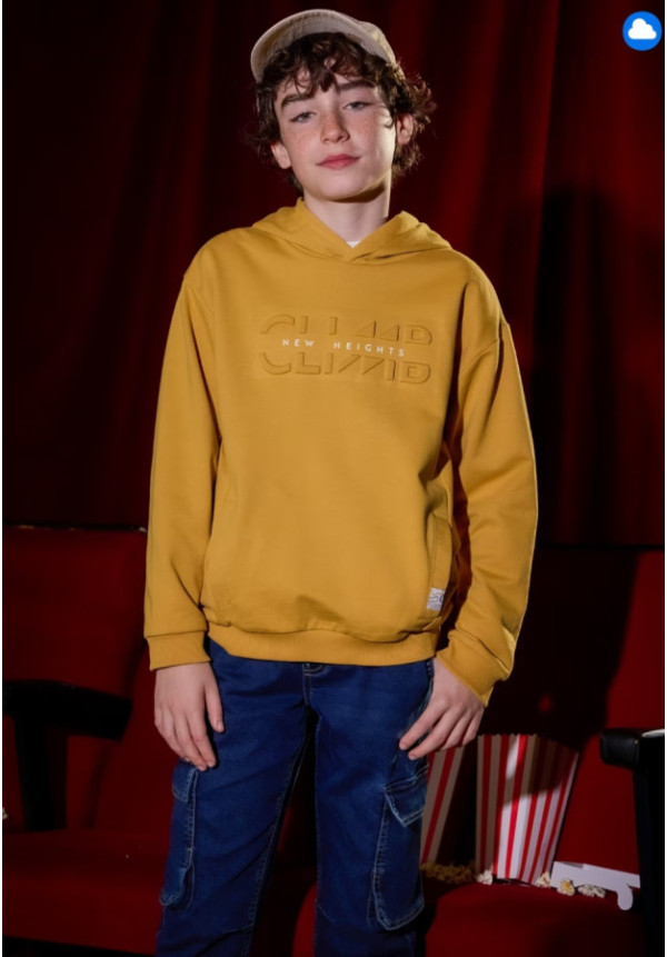 Sudadera Honey