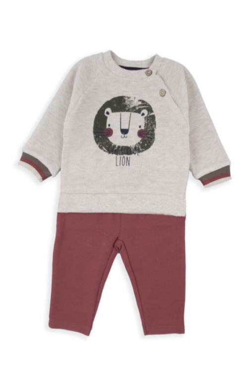 Chandal 2p Lion