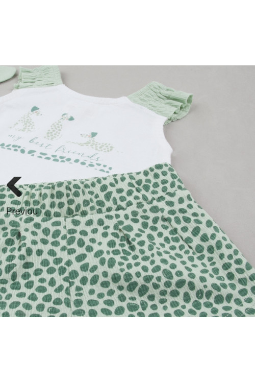 Conjunto 2p + Cinta Pelo Perros Verde Agua