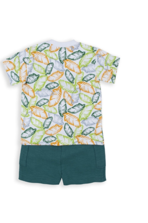 Conjunto 2p Tiger Verde
