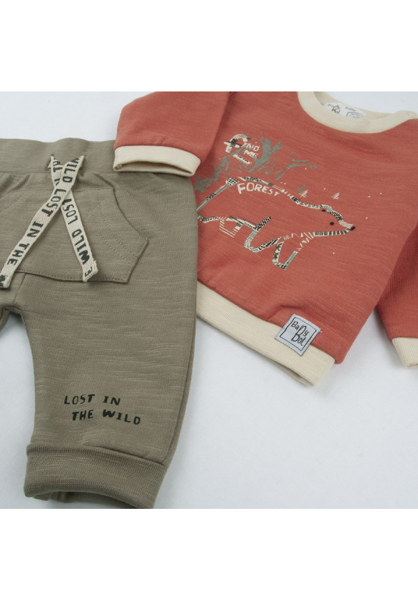Conjunto 2p Arcilla