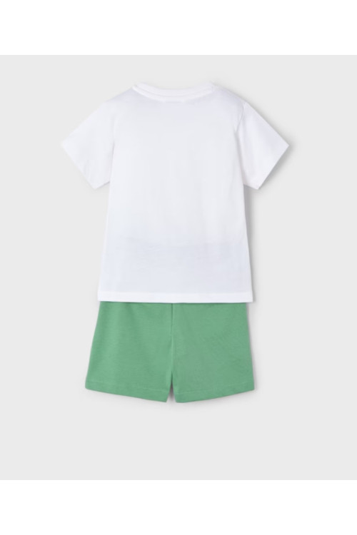 Conjunto 2p Tortuga