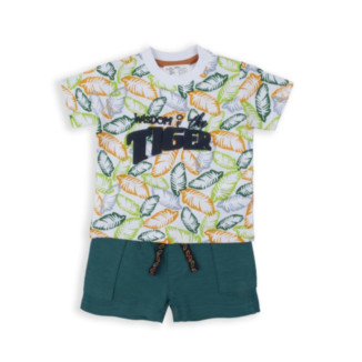 Conjunto 2p Tiger Verde