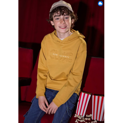 Sudadera Honey