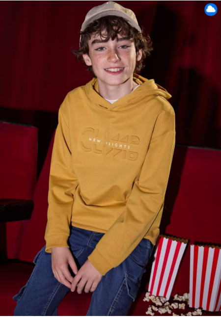 Sudadera Honey