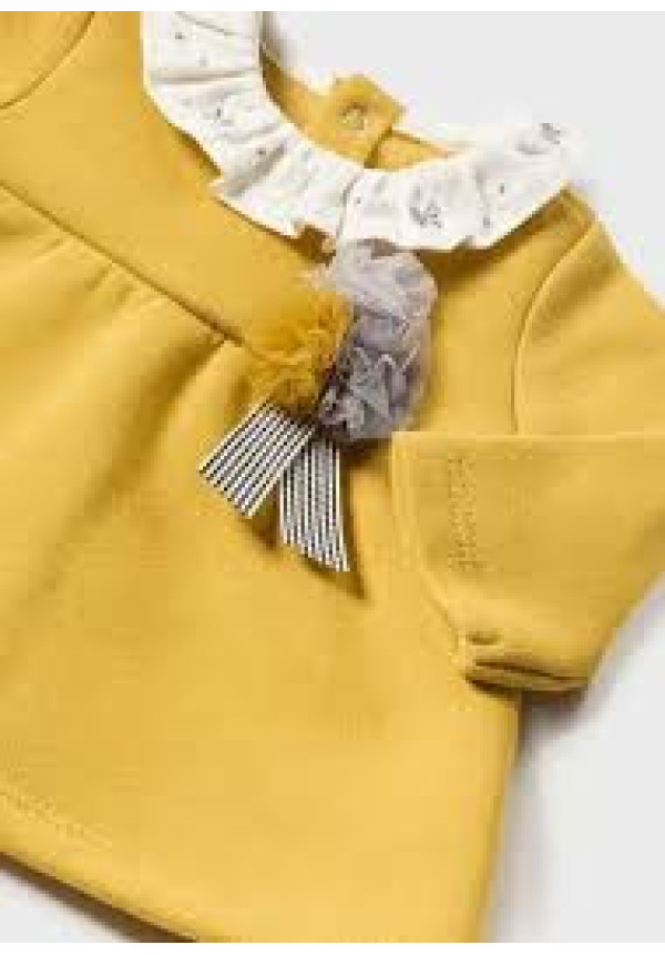 Conjunto 2p Curcuma