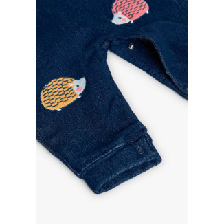 Conjunto Peto 2p Erizo