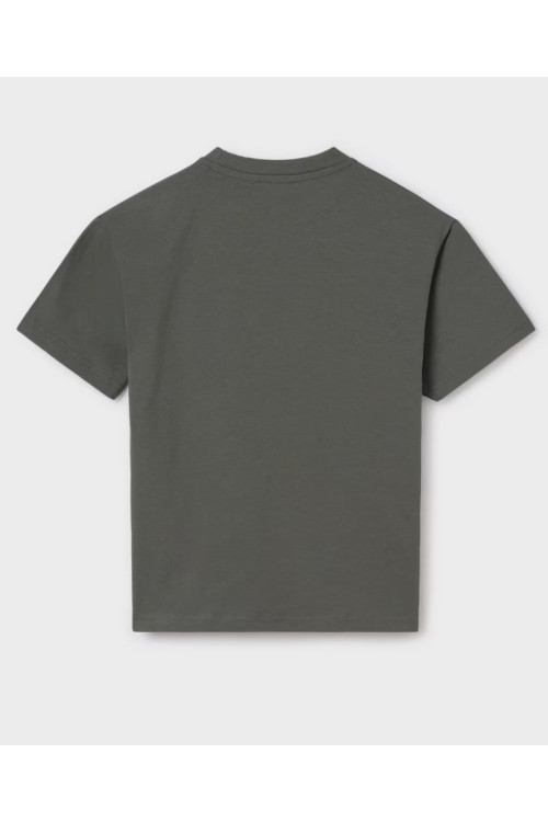 Camiseta Eucalipto
